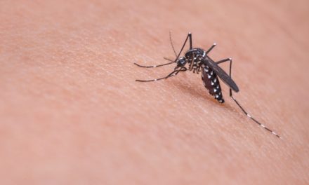 Report: Illinois among states with highest number of mosquito-borne illness cases