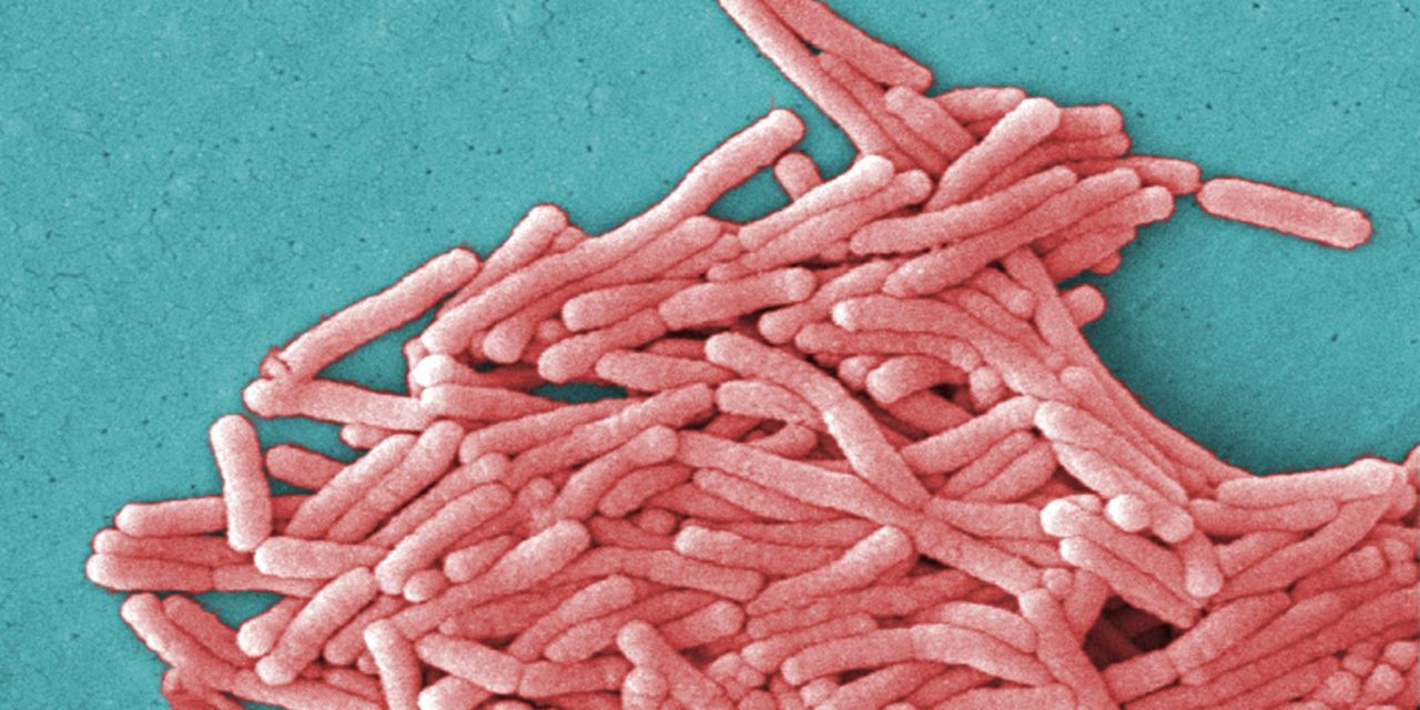 Four more cases of Legionnaires’ disease confirmed at Kane County nursing home
