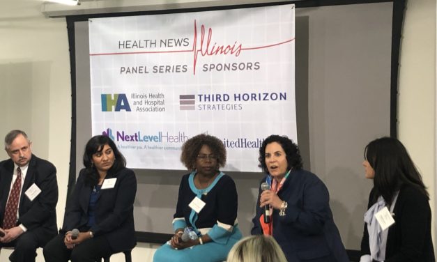 Panelists highlight innovations in addressing the social determinants of health