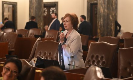 Gillespie resigning Senate seat to head insurance department 